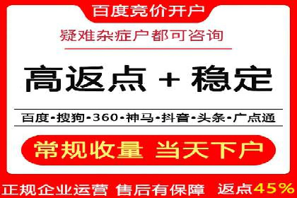 百度推广代运营案例：行业领先企业的成功之道